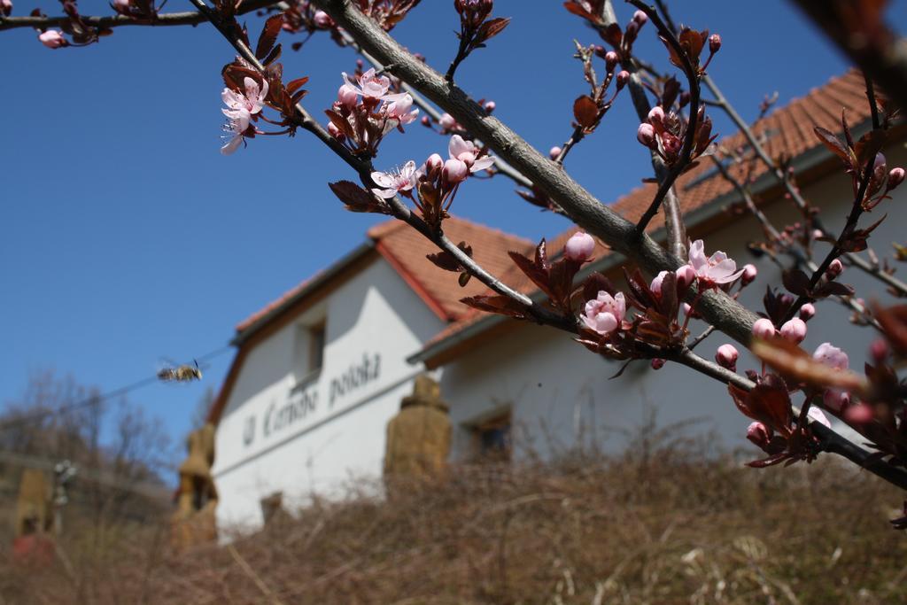 Penzion U Cerneho Potoka Nová Lhota Exterior foto